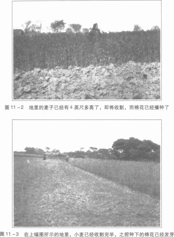 富兰克林·金：《四千年农夫》（1,3,4,5,7，11章）