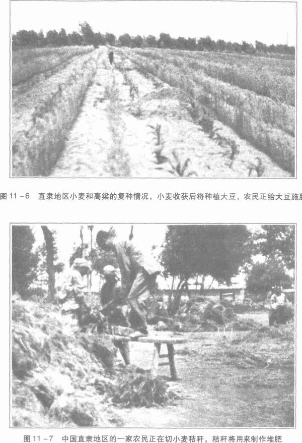 富兰克林·金：《四千年农夫》（1,3,4,5,7，11章）